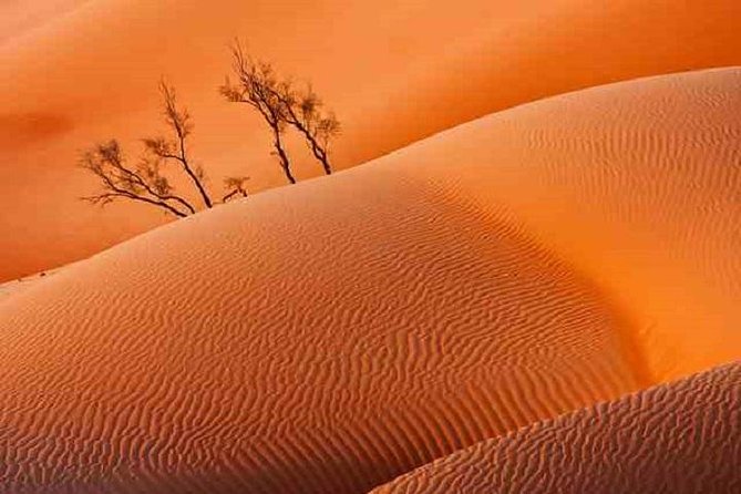 Empty Quarter And Lost City Of Ubar - A short stop in Thumrait