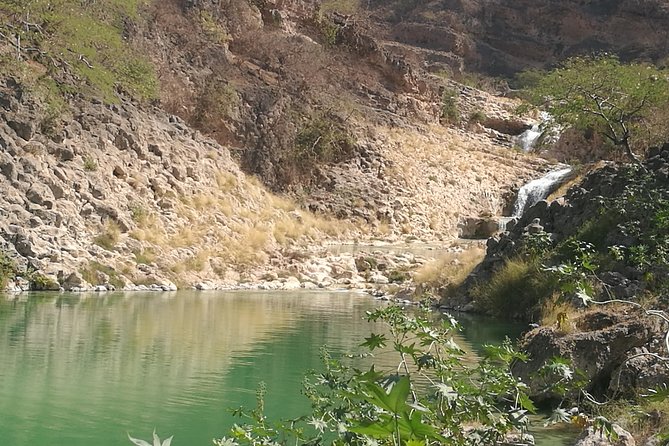 Enjoy a Full-Day Tour Uncovering East Salalah’s Hidden Gems - Taqah Castle brings Dhofari life into focus