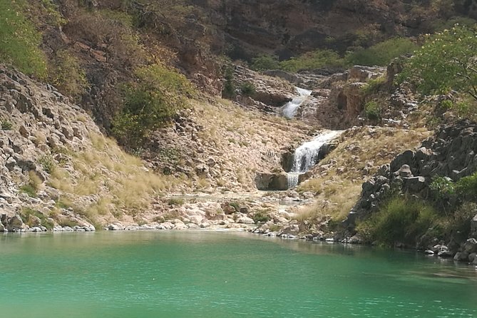Enjoy a Full-Day Tour Uncovering East Salalah’s Hidden Gems - Wadi Darbat is the day’s natural centerpiece