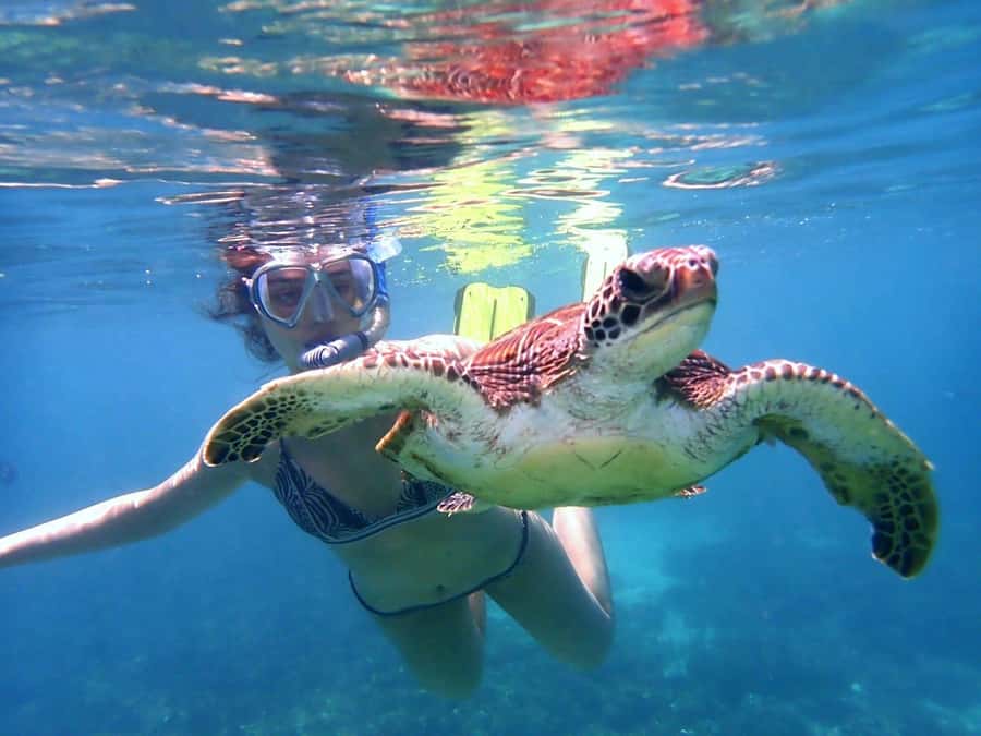 From Al-Seeb: Dimaniyat Islands Boat Trip with Snorkeling - What the crew adds to the experience