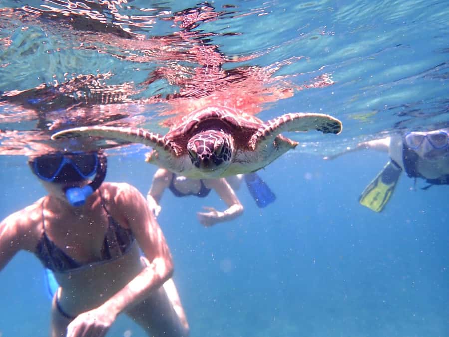 From Al-Seeb: Dimaniyat Islands Boat Trip with Snorkeling - Boat comfort, weather, and seasickness