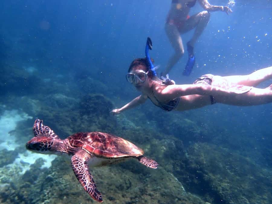 From Al-Seeb: Dimaniyat Islands Boat Trip with Snorkeling - Is $85 a fair price?