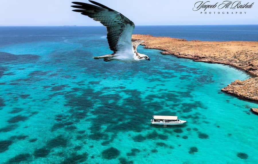 From Al-Seeb: Dimaniyat Islands Boat Trip with Snorkeling - The run across clear water to the nature reserve