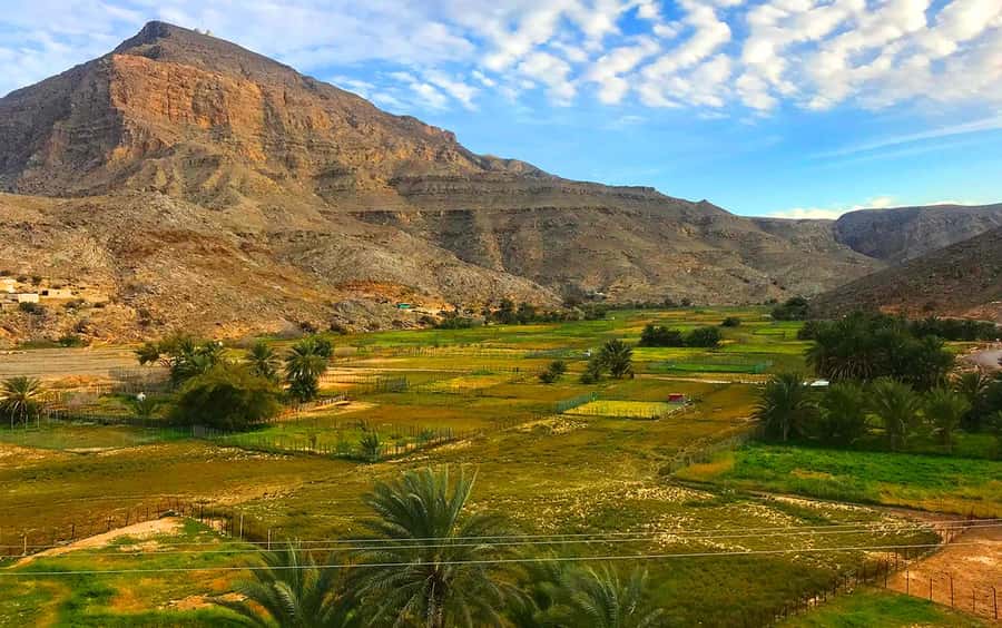 From Dubai: Musandam Khasab Tour with Boat Trip and Safari - Jebel Harim and the Mountain Road