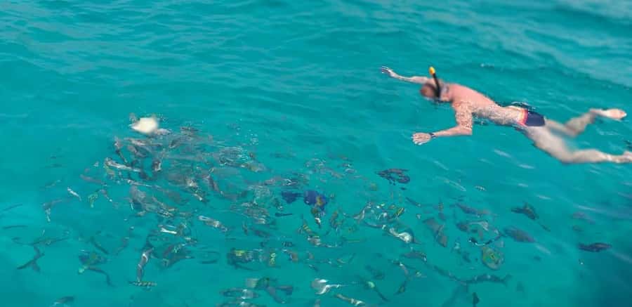 From Dubai to Norway of Arabia|Telegraph Island| Dhow Cruise - Telegraph Island: history, lunch, and calm water
