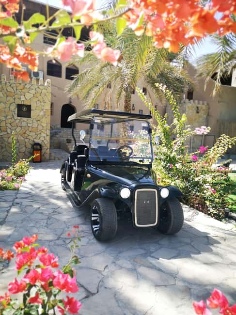 From Jebel Akhdar: Al Aqur Village Cultural Cart Tour - Old Houses and the Shape of Omani Life