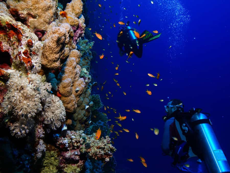 From Khasab: Diving Experience in Khasab - Getting ready with the included equipment