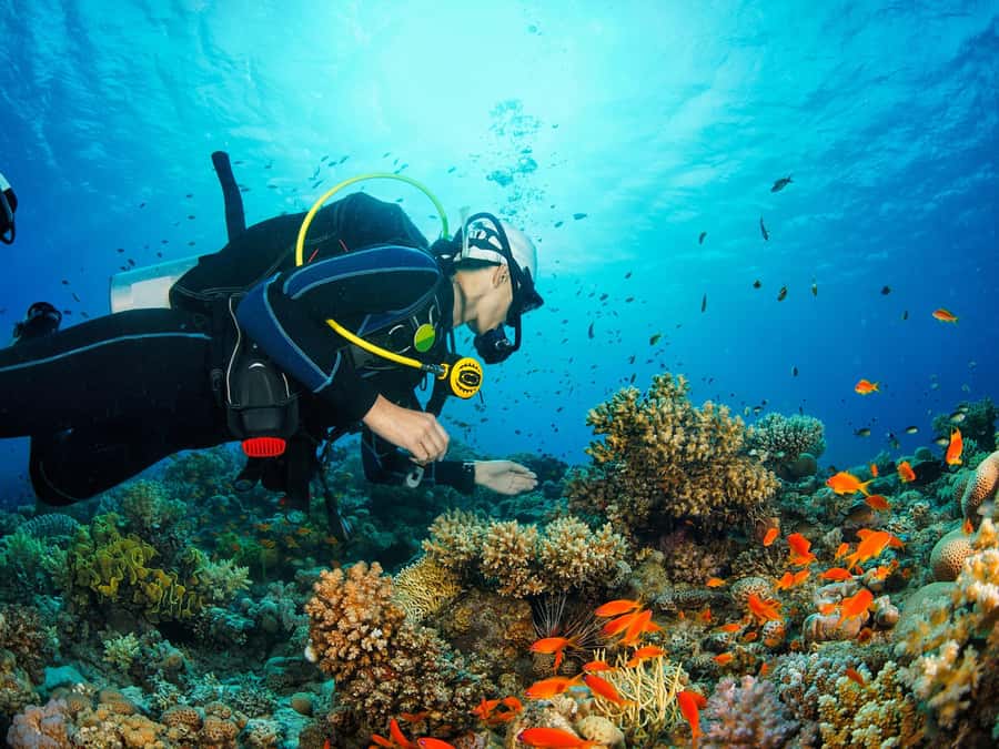 From Khasab: Diving Experience in Khasab - Leaving Khasab by speedboat