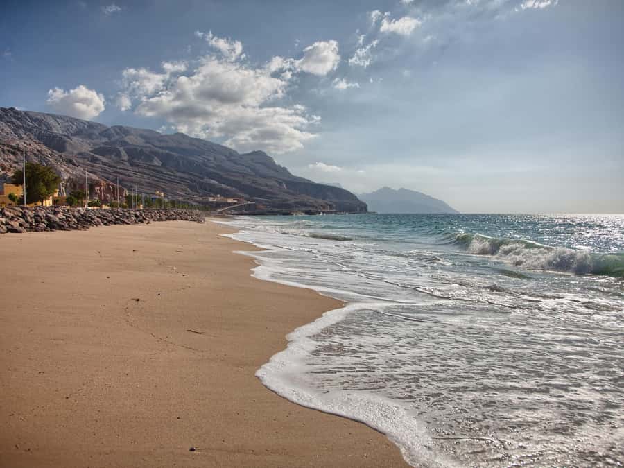 From Khasab: Kayaking Tour in Khasab with Lunch - Cliffs, Coves, Birds, and Sea Life Along the Route