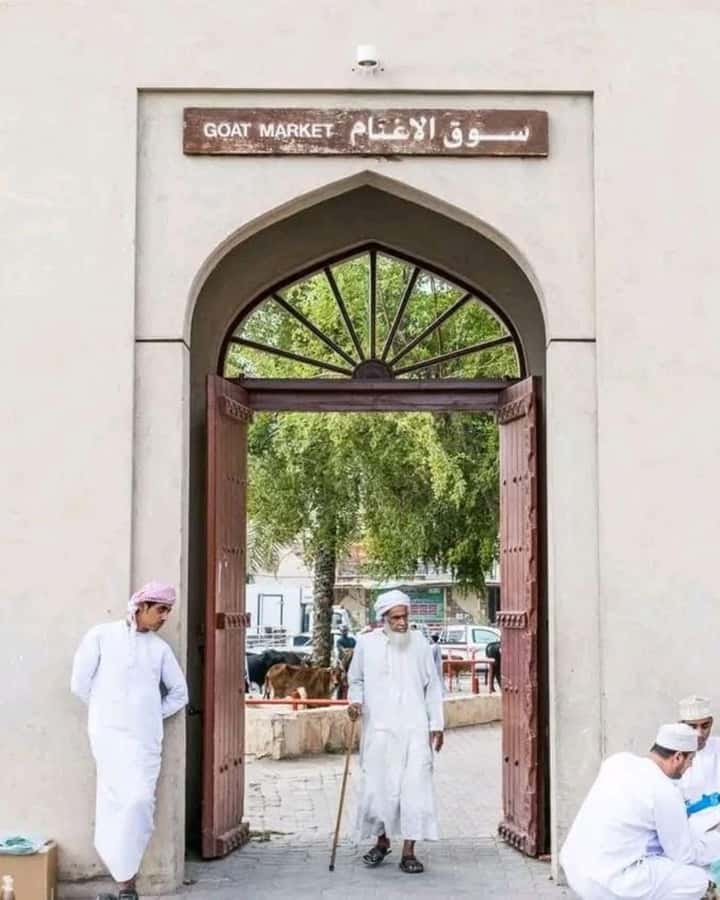 From Muscat: 3-Days Nizwa, Desert, Turtle, Wadi Shab - Five things to know before you book