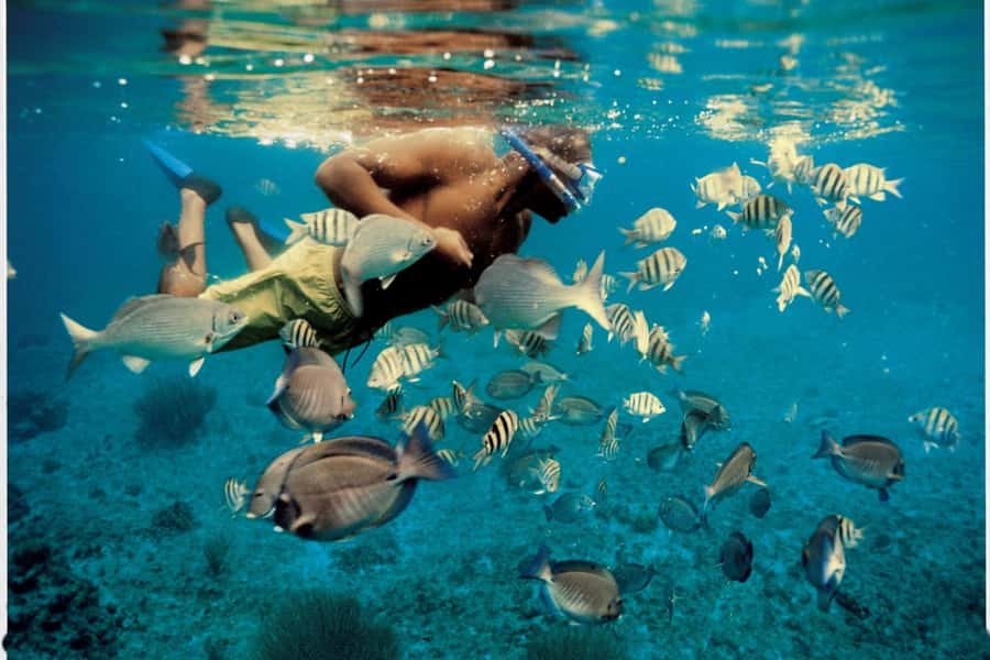 From Muscat: Dimaniyat Islands Snorkeling Tour - The 70-Kilometer Boat Journey