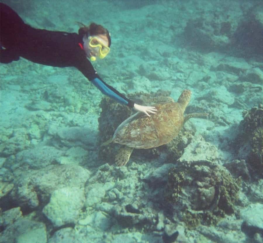 From Muscat: Dimaniyat Islands Snorkeling Tour - My Verdict: Book It for Turtles and Easy Planning