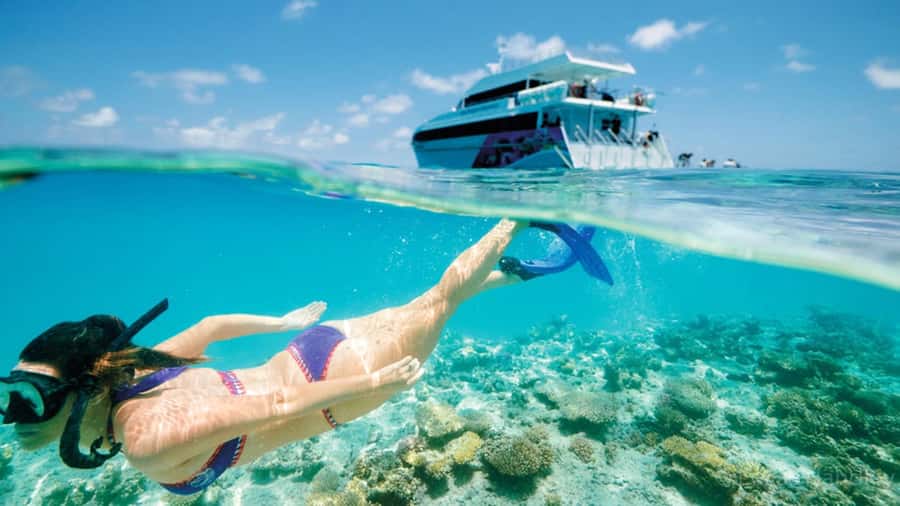 From Muscat: Dimaniyat Islands Snorkeling Tour - Morning Pickup and the Drive to the Marina