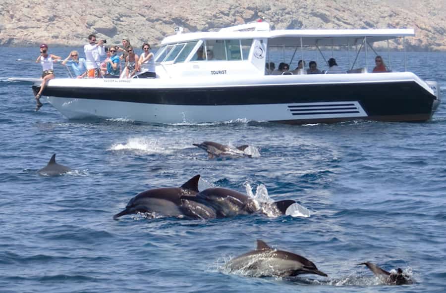 From Muscat: Discover Dolphins Day Trip - Setting out from Marina Bandar Al Rawdha