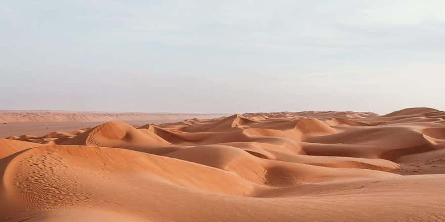 From Muscat: Full Day to Wahiba Sands and Wadi Bani Khalid - Key points at a glance