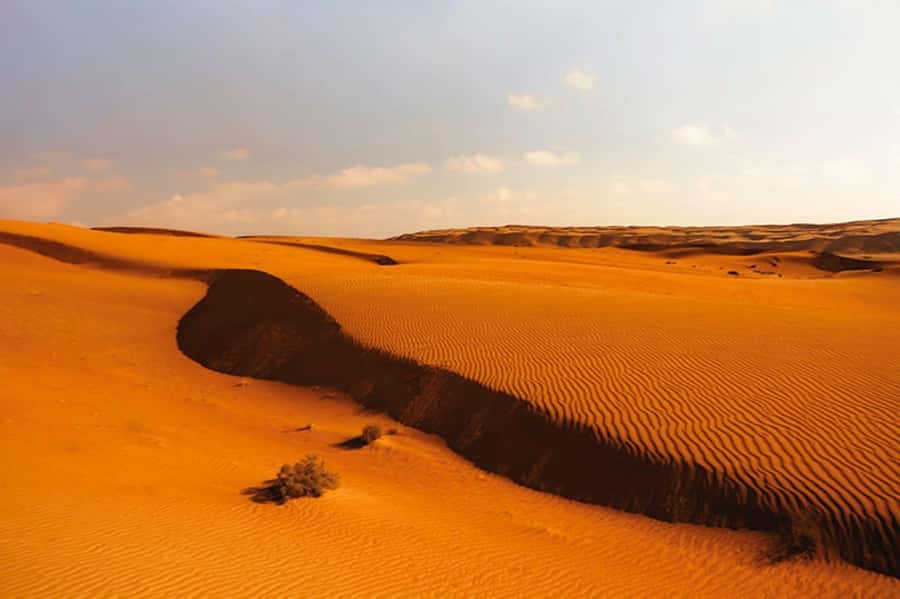 From Muscat: Full Day to Wahiba Sands and Wadi Bani Khalid - Why this day trip works from Muscat