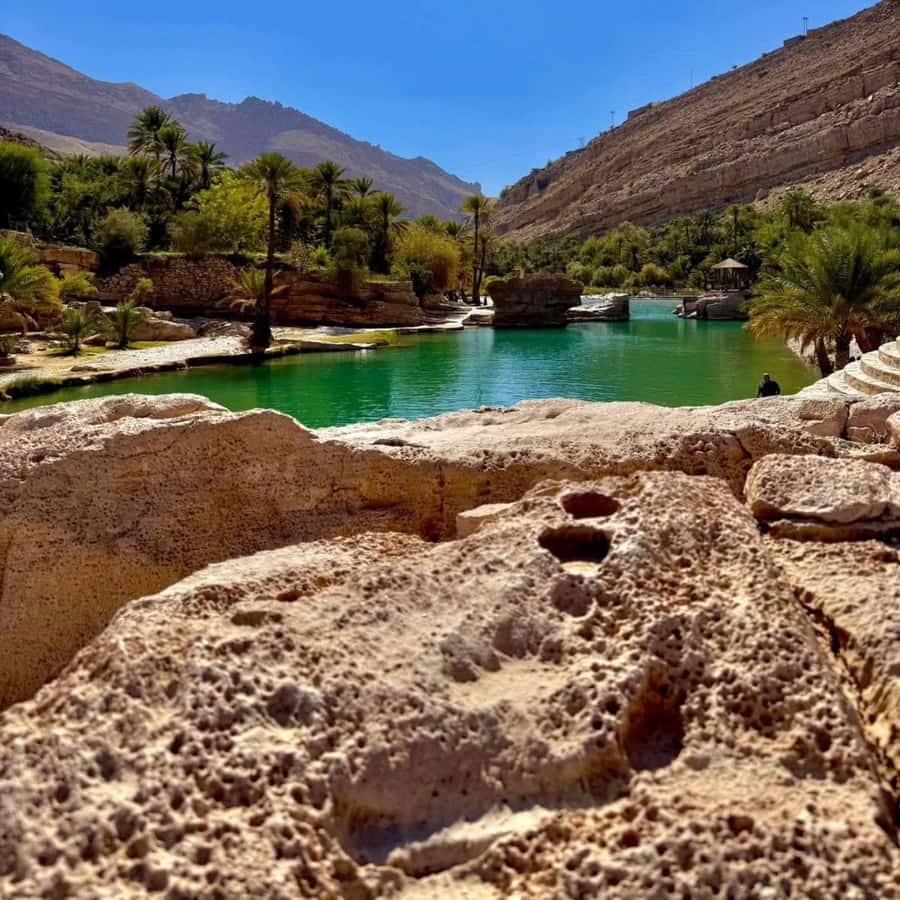 From Muscat: Full Day to Wahiba Sands and Wadi Bani Khalid - What the private 4WD adds