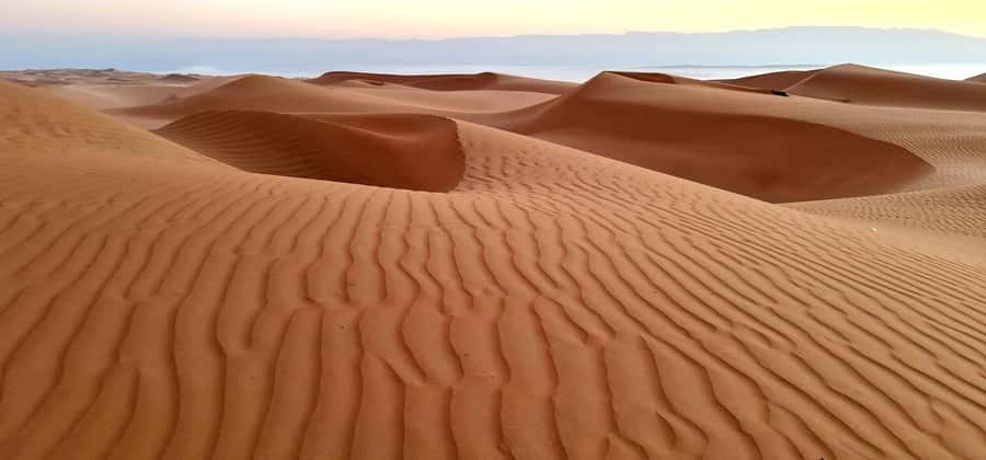 From Muscat: Full Day to Wahiba Sands and Wadi Bani Khalid - Packing for water, sand, and sun