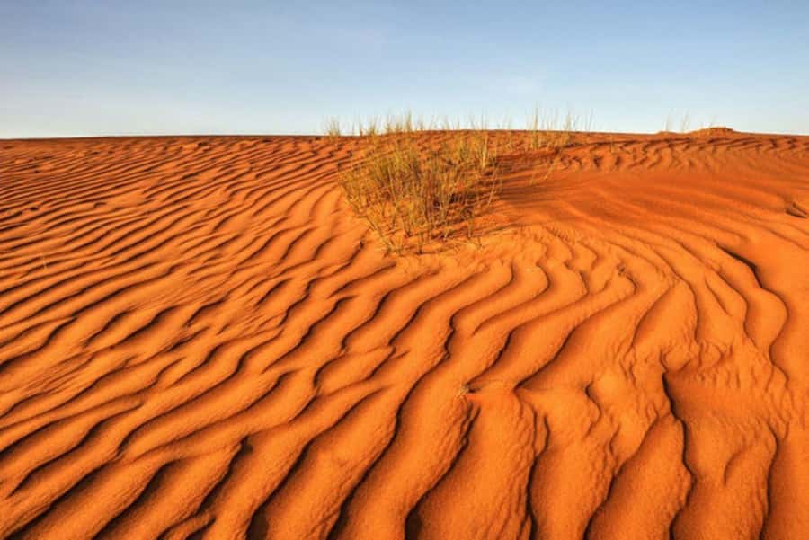 From Muscat: Full Day to Wahiba Sands and Wadi Bani Khalid - Who will enjoy this tour most