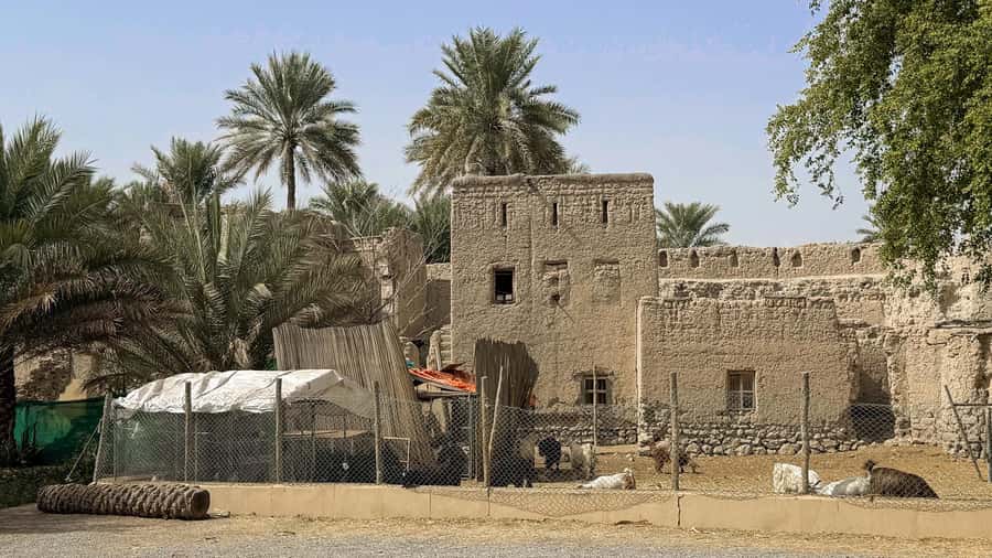 From Muscat: Nizwa and Jebel Akhdar Tour with Lunch - Is $130 a fair price?