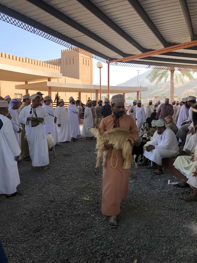 From Muscat: Nizwa and Oman's Historical Gems Tour - Option 2: Nizwa, Bahla Fort, and Jabreen Castle