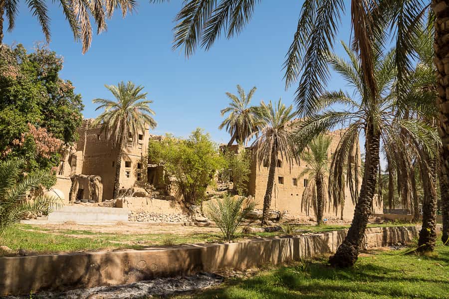 From Muscat: Nizwa and Oman's Historical Gems Tour - Option 5: Nizwa and Jebel Shams