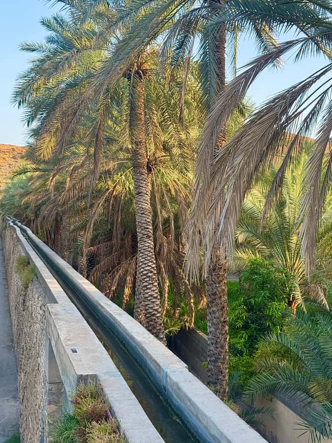 From Muscat: Nizwa Fort, Souq, falaj & Museum Full Day Tour - Key points to know before you book