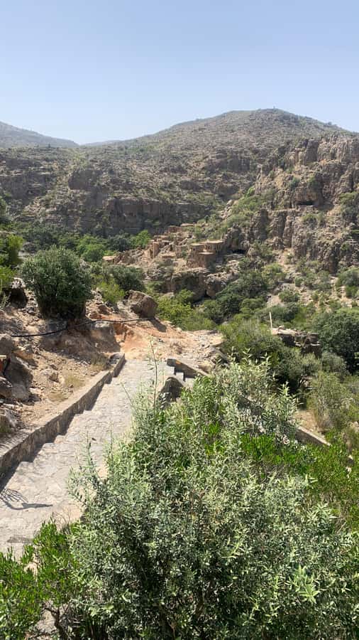 From Muscat: Private Nizwa and Jabel Akhdar-Shams with Lunch - Lunch at a local restaurant
