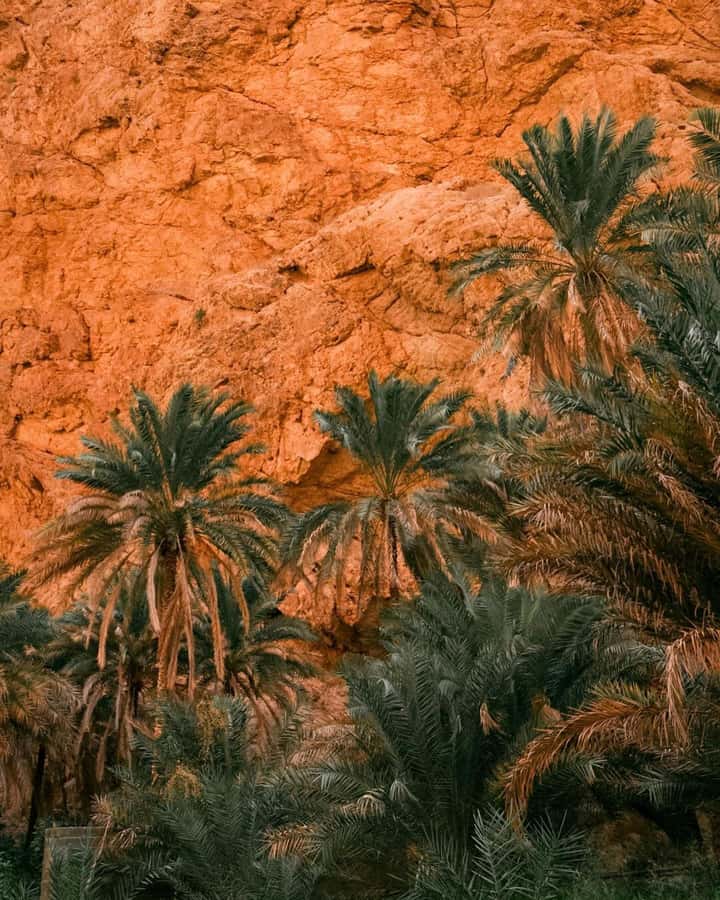 From Muscat:Private Wadi Shab and Bimmah SinkHole Tour - What the private format really gives you