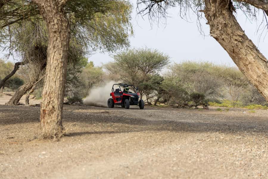 From Muscat: Self-Drive ATV Adventure in Wadi Al Rak - How Much Value Do You Get for $155?