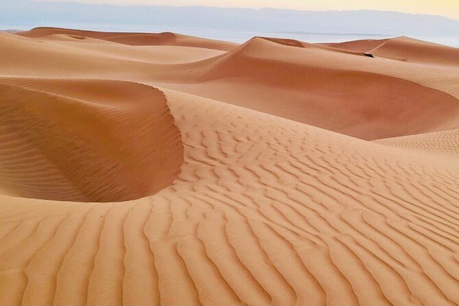 From Muscat: Wadi Hawar and Wahiba Sands Desert Tour - Coffee, dates, and a Bedouin house