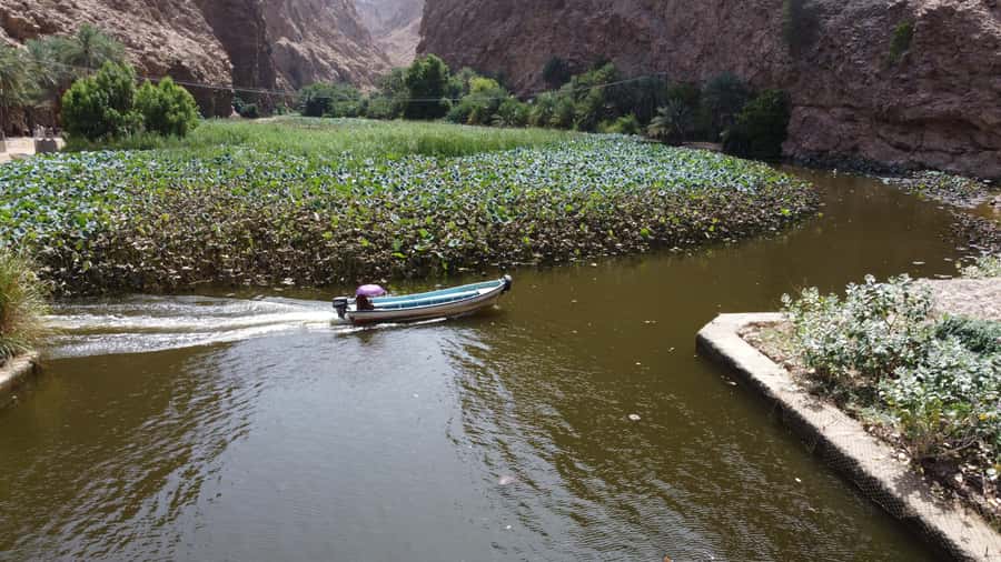 From Muscat: Wadi Shab & Bimmah Sinkhole Full-Day Tour - Should you book Wadi Shab and Bimmah Sinkhole?