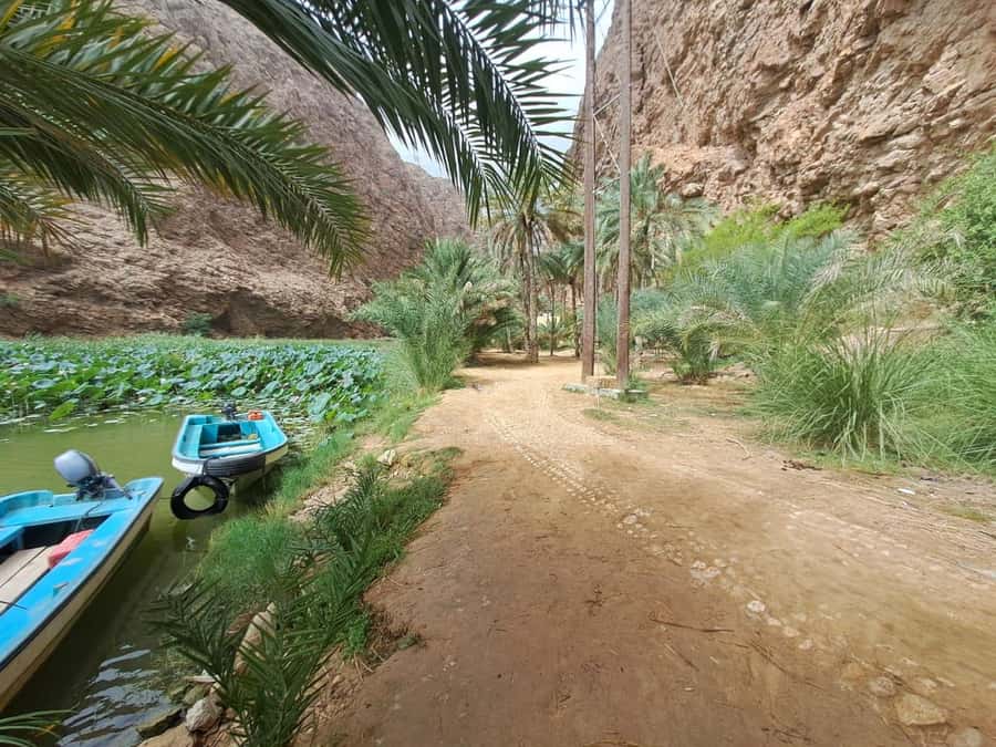 From Muscat: Wadi Shab Expedition - Why Wadi Shab makes such a good day from Muscat