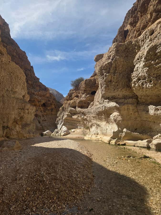 From Muscat: Wadi Shab Expedition - The one-hour lunch break