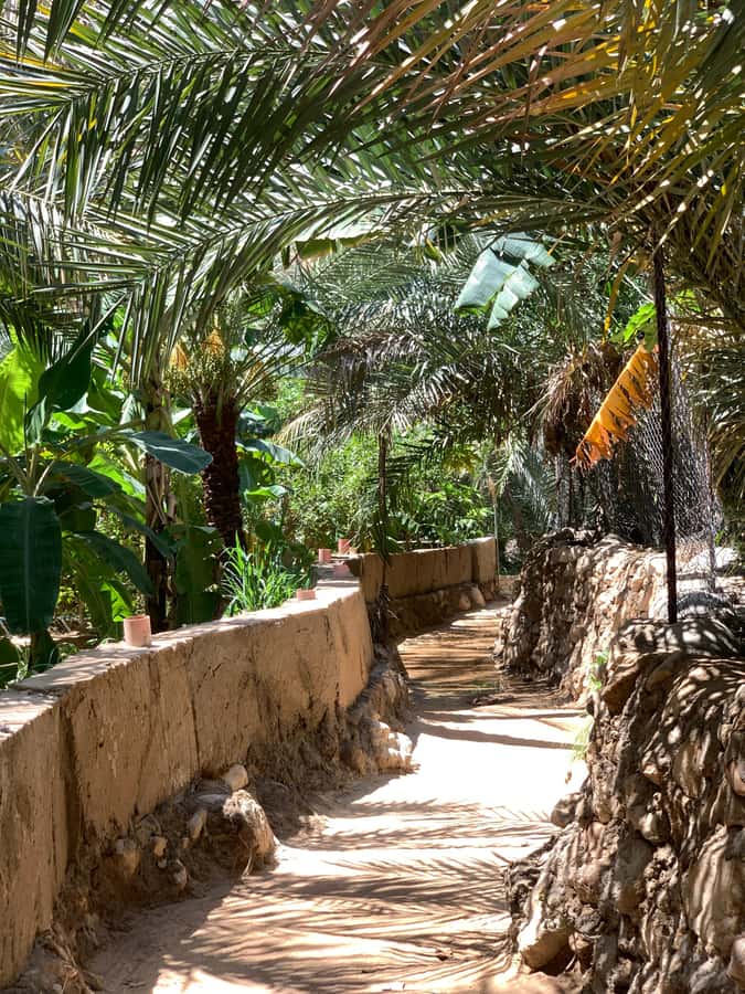 From Muscat: Wadi Shab & Sinkhole Private Tour & Free Lunch - Reaching Wadi Shab after the 40-minute hike
