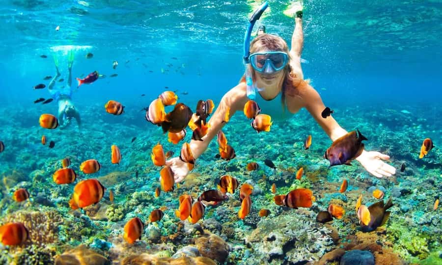 From Ras Al Khaima : Dolphin Watching and Jabal Harim Safari - Key points to know before booking