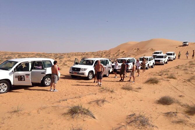Full-Day Desert Safari Jeep Tour in Ash Sharqiyah Governorate - Who should book this Oman safari?