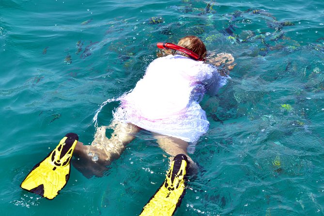 Full Day Dhow Cruise to Khor Sham with lunch & Snorkeling (Shore excursions) - Sailing through the fjord on an Omani dhow