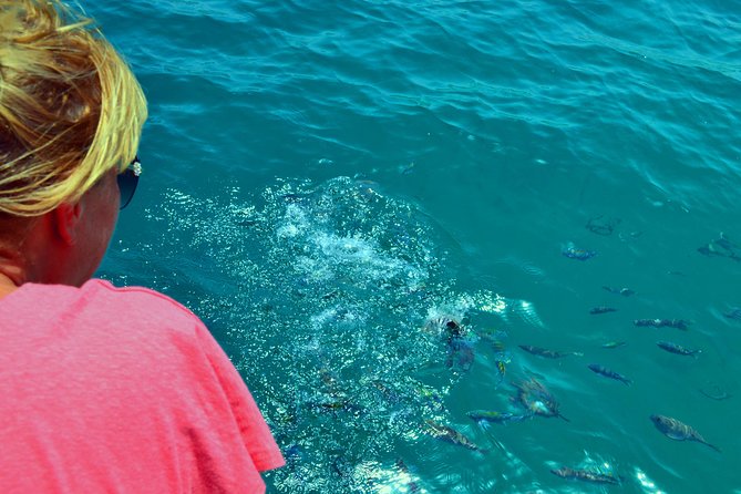 Full Day Dhow Cruise to Khor Sham with lunch & Snorkeling (Shore excursions) - Starting at 9:30 am from Khasab