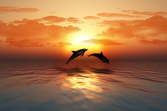 Full day Dhow: Khasab, Musandam: Dolphins, Snorkeling & Fjords - The Khor Sham hike and choosing your pace