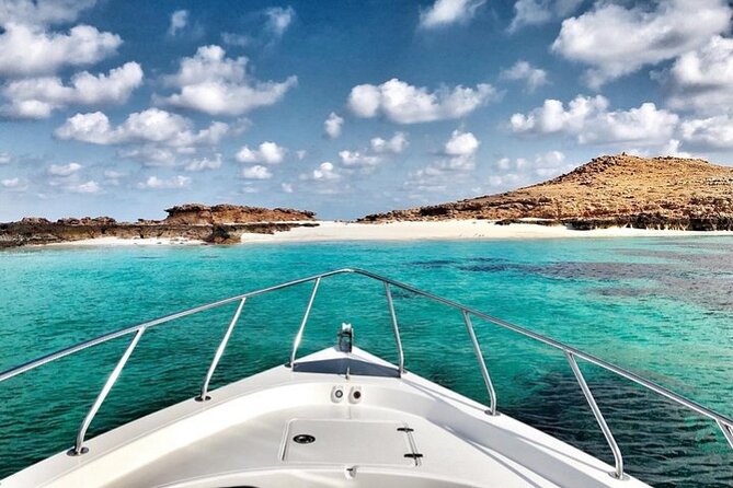 Full Day Dimaniyat Island Excursion - Turtles, dolphins, and the chance of whales
