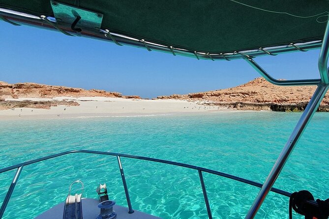 Full Day Dimaniyat Island Excursion - White sand beach, swimming, and time on the island