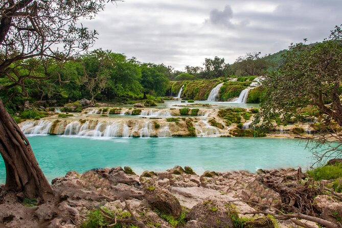 Full Day Guided Salalah a Combination of East and West tour - Five things to know before booking