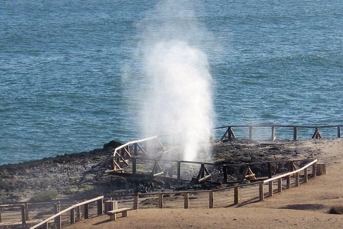 Full Day Guided Salalah a Combination of East and West tour - Coconut farms add a taste of southern Oman
