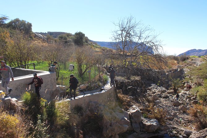 Full-Day Guided Tour to Jebel Akhdar - Farms, roses, pomegranates, and grapes