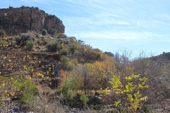 Full-Day Guided Tour to Jebel Akhdar - Comfort, pace, and what to bring