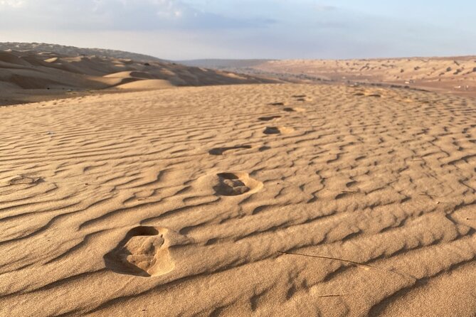Full-Day Private Tour of Wahiba Sands Desert and Wadi Bani Khalid - The guide can shape the whole day