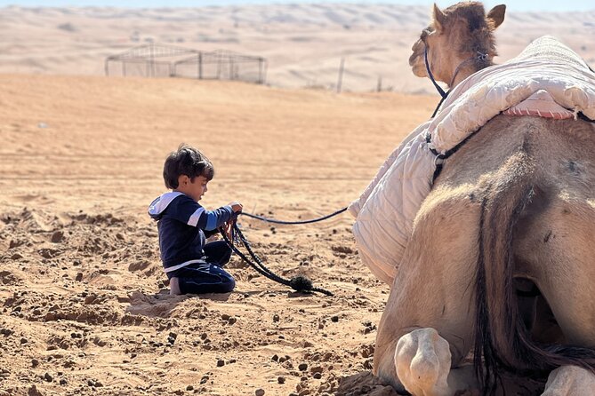 Full-Day Private Tour of Wahiba Sands Desert and Wadi Bani Khalid - What the $179 price includes