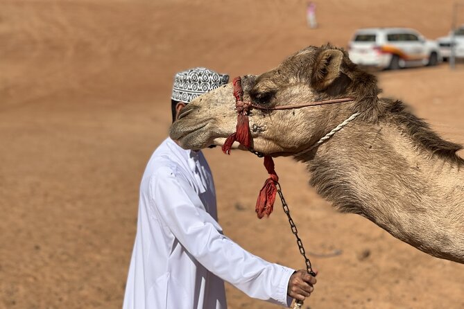 Full-Day Private Tour of Wahiba Sands Desert and Wadi Bani Khalid - Who should book this Oman day trip