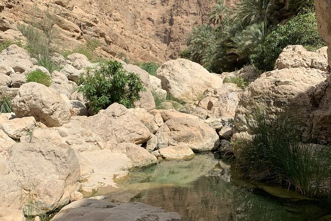 Full Day Private Tour to Wadi Shab and Bimmah Sinkhole - The guides and the human side of the day